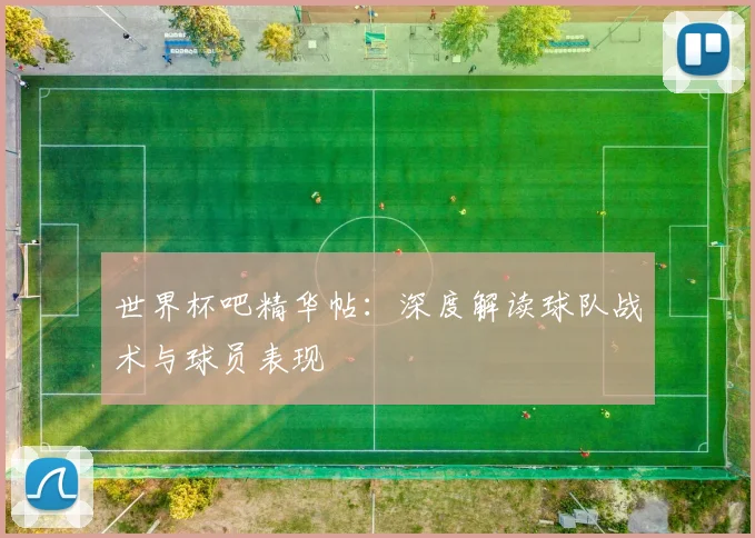 世界杯吧精华帖:深度解读球队战术与球员表现