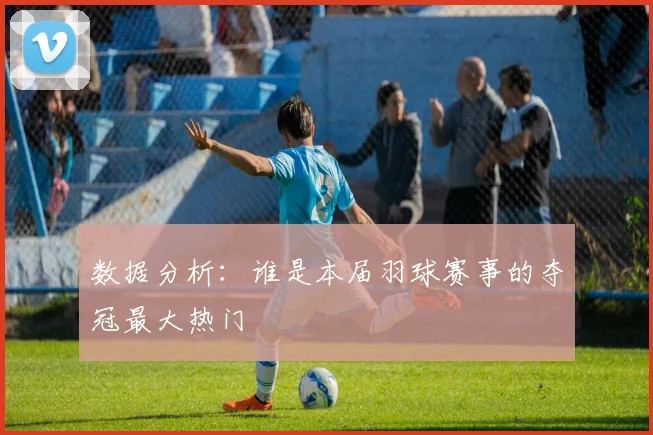 数据分析:谁是本届羽球赛事的夺冠最大热门